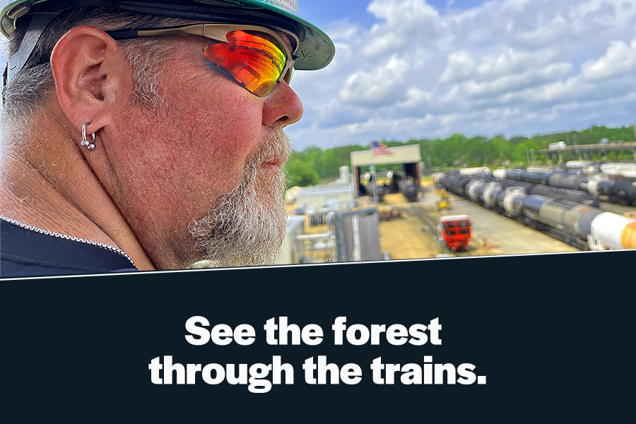 See-the-forest-through-the-trains